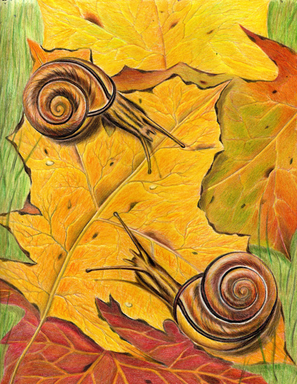 Slow Dancing by Rick Alvin Spooner