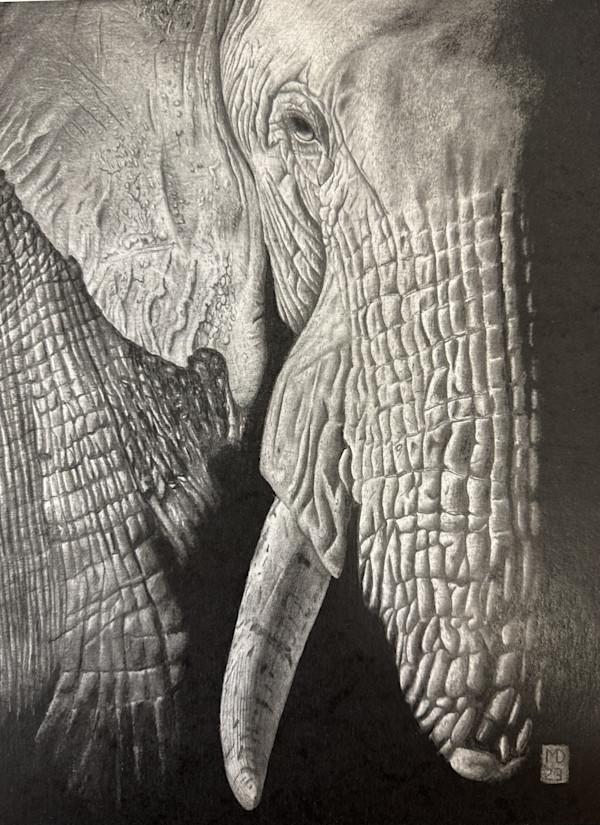 Memories of Africa - African Elephant by Michael E. Dorcas