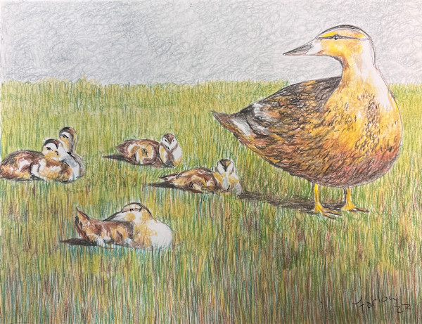 Make Way For Ducklings by Gary K. Farlow
