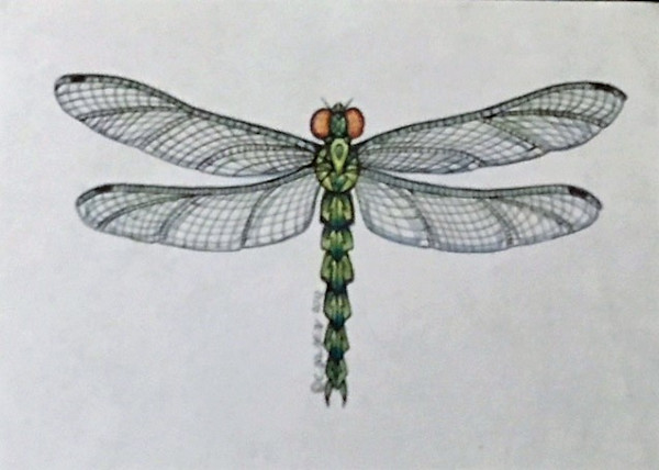 Dragonfly by Carole Alden