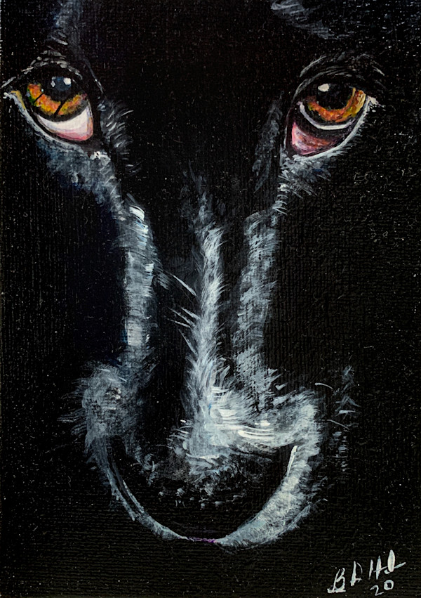 Puppy Eyes by Brian Hindson