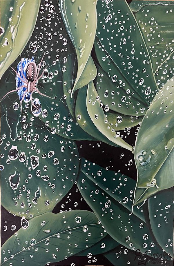 Spider in the Rain by R. Zumar