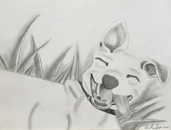 Happiness by Angelica M. Soto