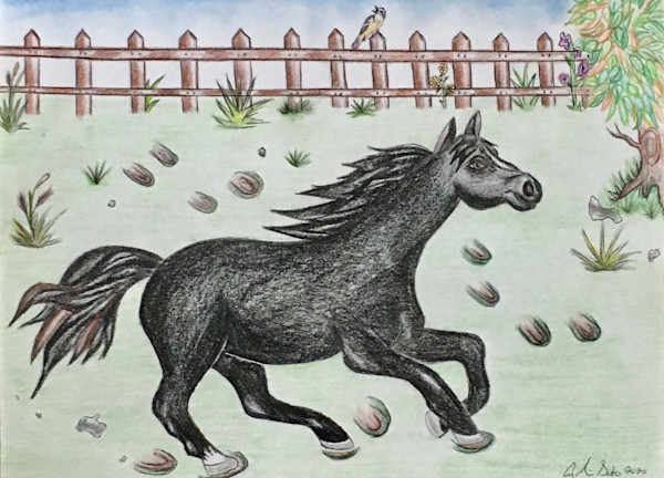 Black Beauty by Angelica M. Soto