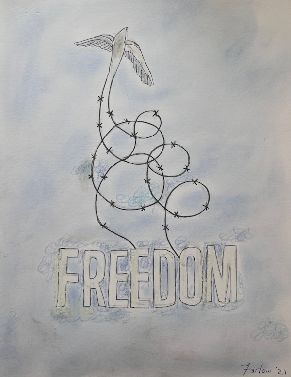 Freedom by Gary K. Farlow