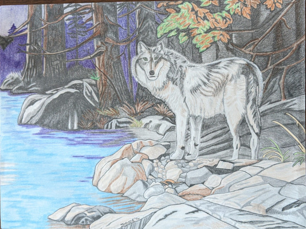 Up North by Jennifer Gilman