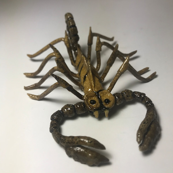 Scorpion by Charles Finney