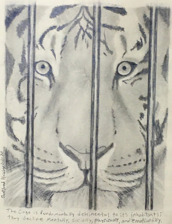 The Cage by Scotlund Haisley