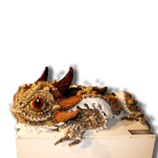Horned Lizard by Carole Alden
