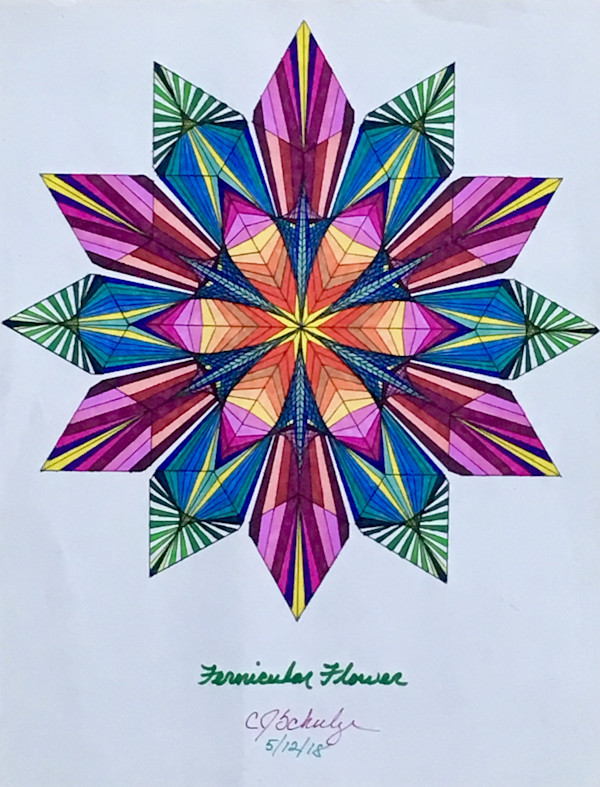 Fernicular Flower by Chris Schulze
