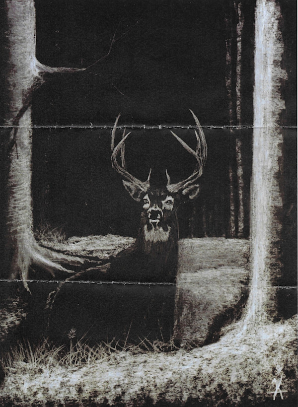 Not Titled by Kirston Angell