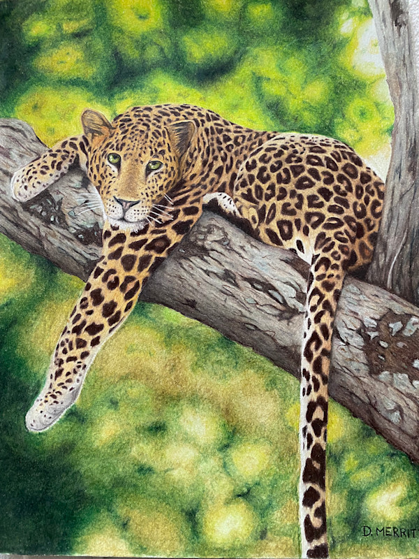 Not Titled by Dominique Merritt