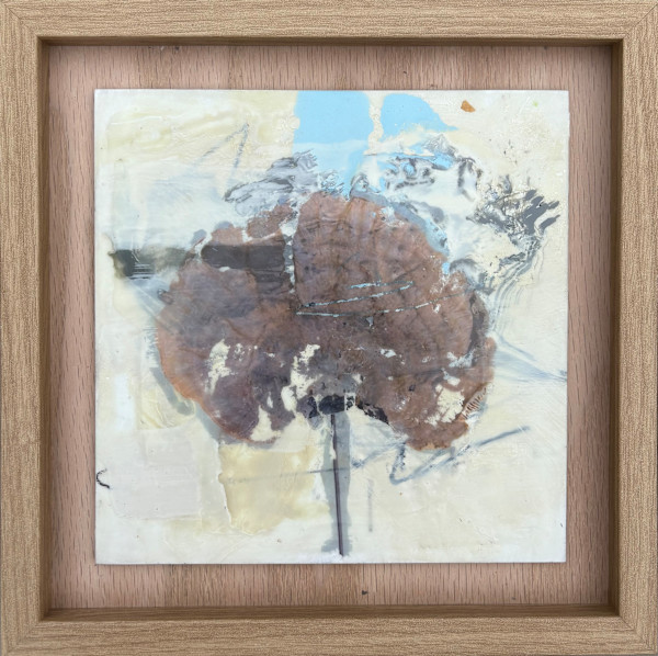 Turkey Tail by Lisa Herriott, Image 2.