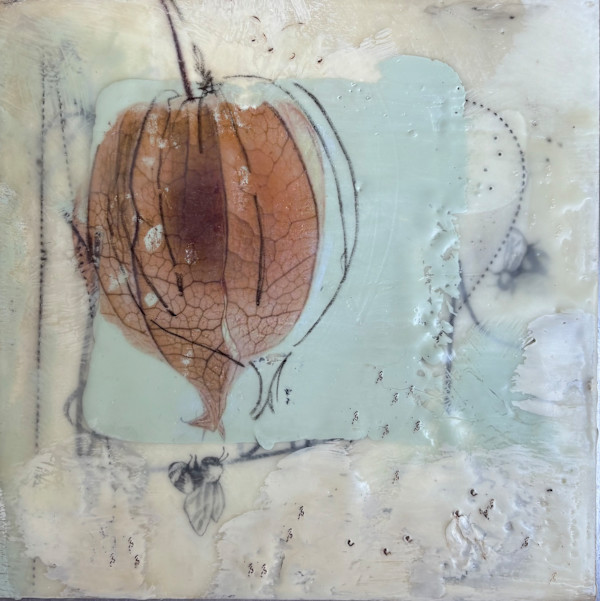 Ground Cherry by Lisa Herriott