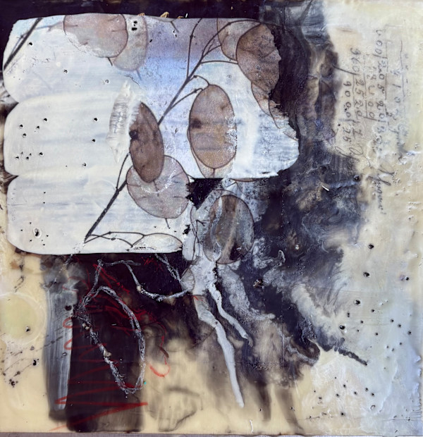 Lunaria by Lisa Herriott