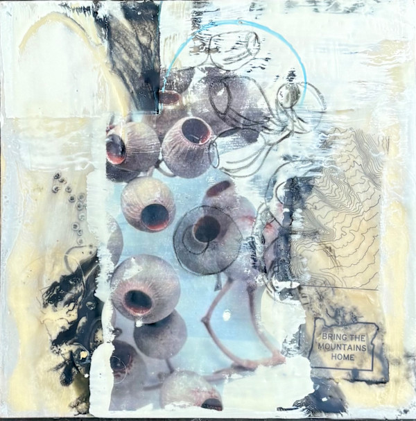 Bellgum by Lisa Herriott