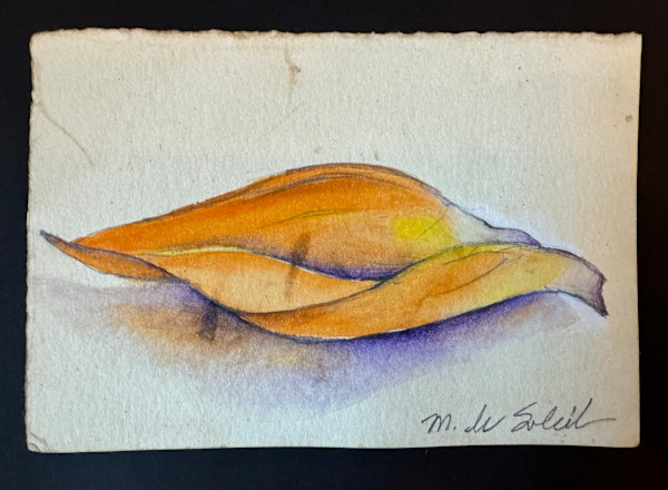 Bird of Paradise Leaf by Margarete de Soleil