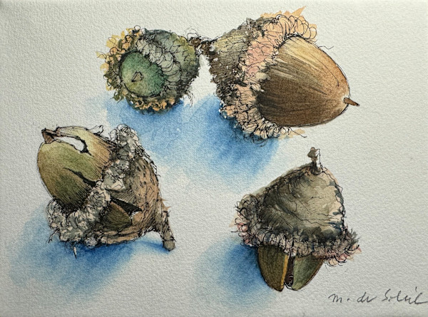 4 Acorns by Margarete de Soleil