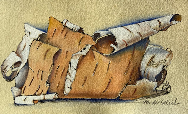 Birchbark by Margarete de Soleil