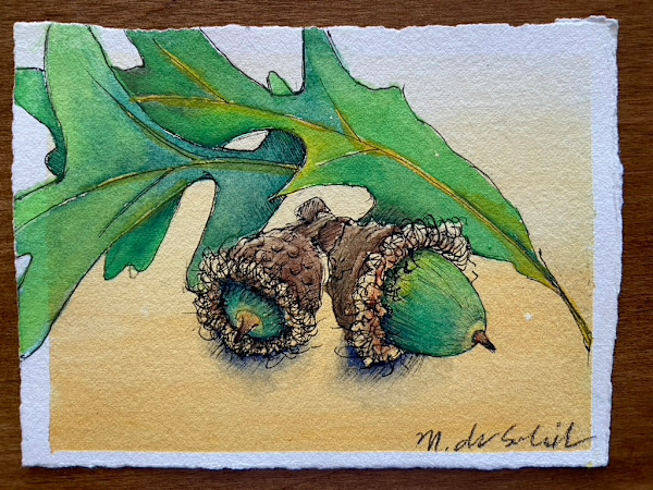 2 Acorns by Margarete de Soleil