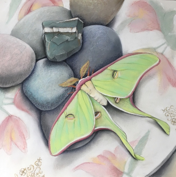Stones with Luna Moth I by M. de Soleil, Image 1.