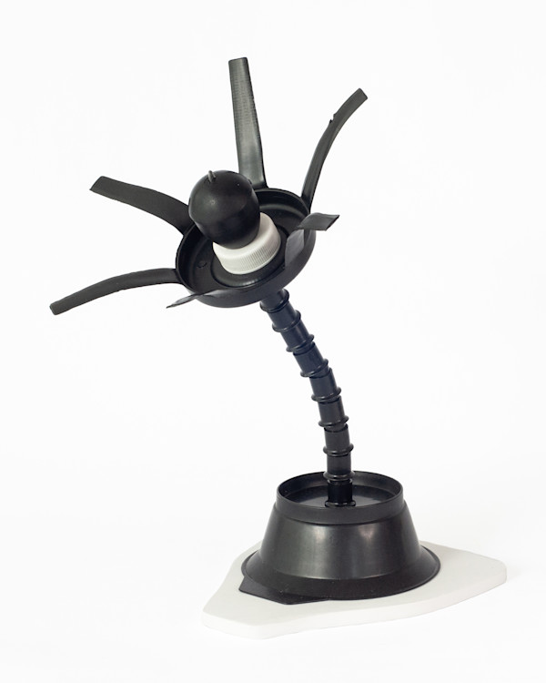 Impossible Plant III (black and white) by Eve De Jong