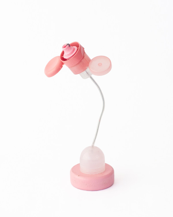 Impossible Plant VI (pink) by Eve De Jong