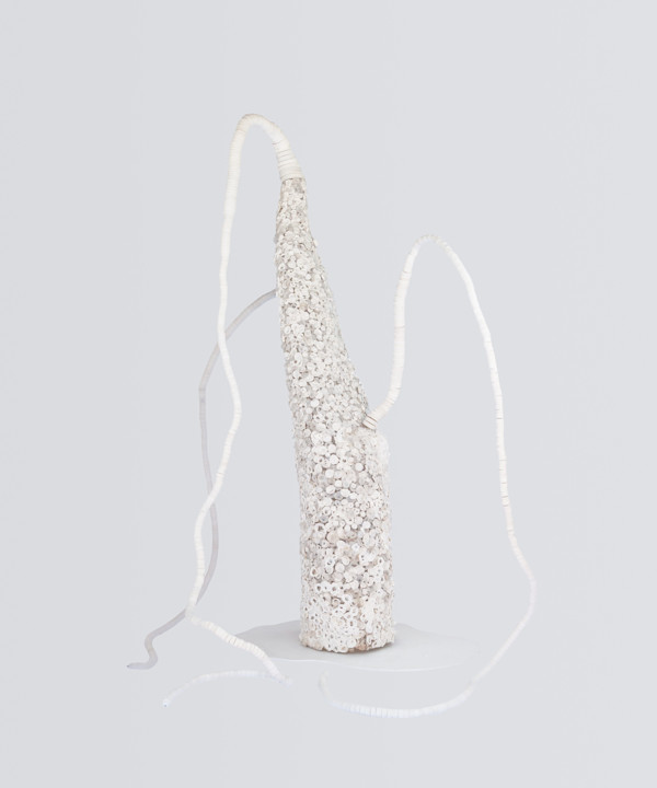 Reconstructed Baobab (white) by Eve De Jong