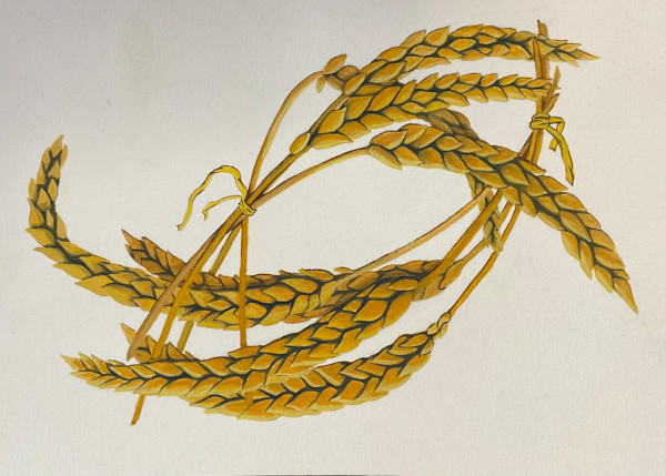 Wrapped Wheat by Stephenie Anderson