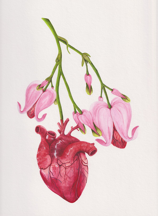 Healed Heart by Stephenie Anderson
