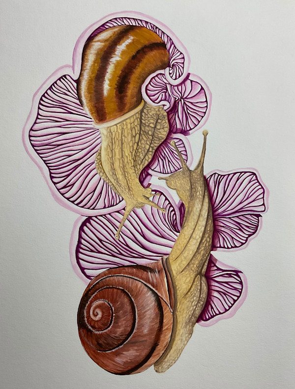 Symbiotic Dance by Stephenie Anderson