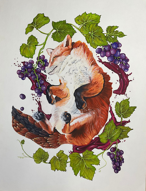 The Fox and the Grapes by Stephenie Anderson
