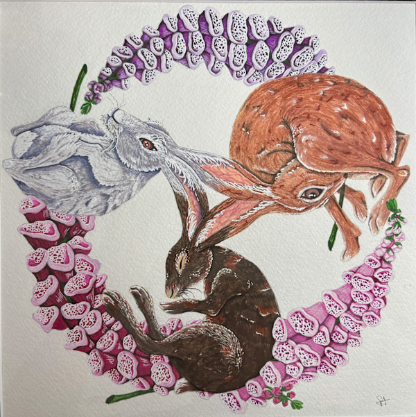 The Three Hares by Stephenie Anderson