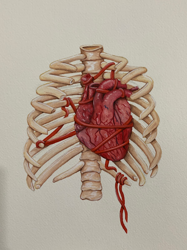 Mended by Stephenie Anderson