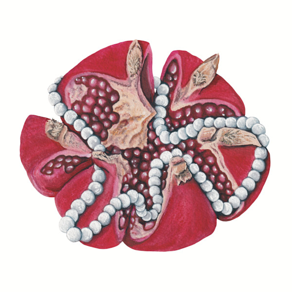 Pomegranate and Pearls by Stephenie Anderson