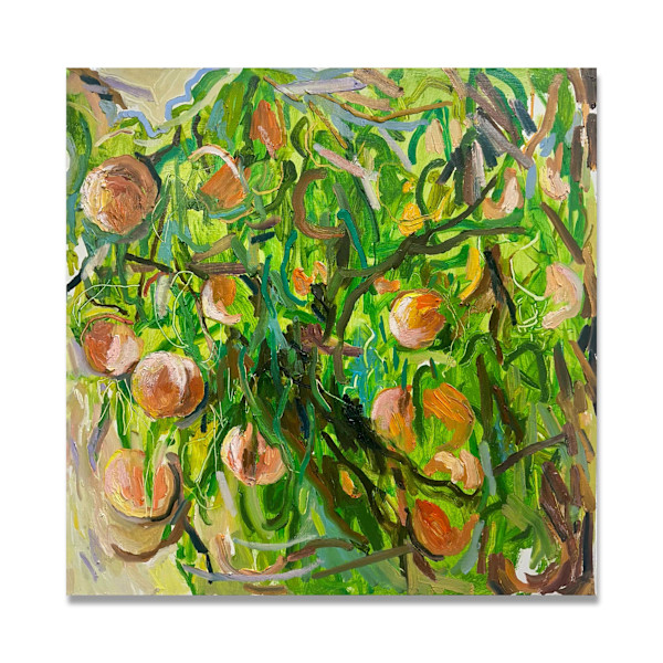 Dan L'Jus by Kaitlyn Tucek, Image 7.