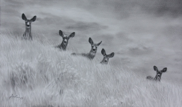 The Watchers by Amber Scally