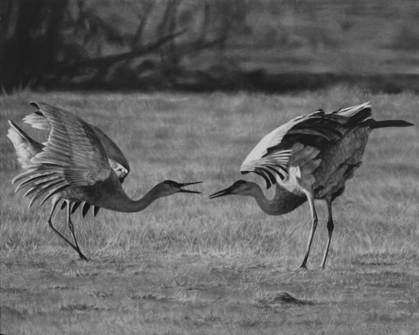 The Eternal Dance by Amber Scally