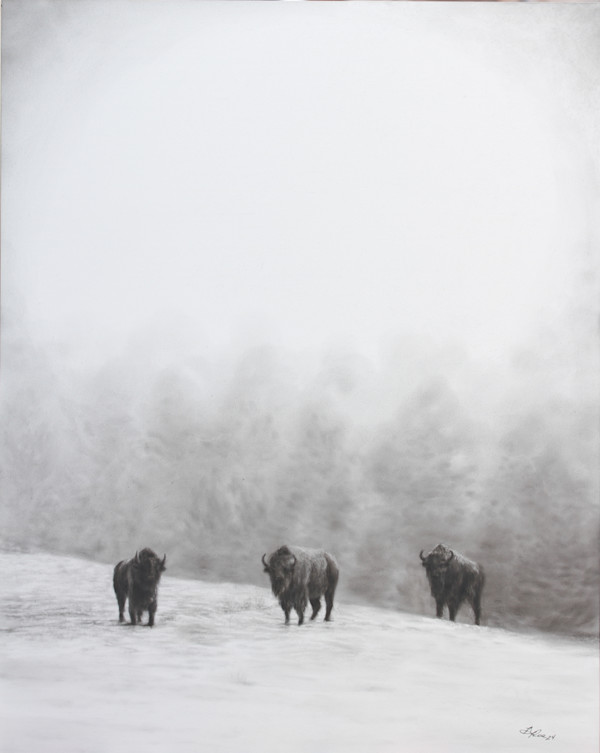 Frozen Morning by Amber Scally