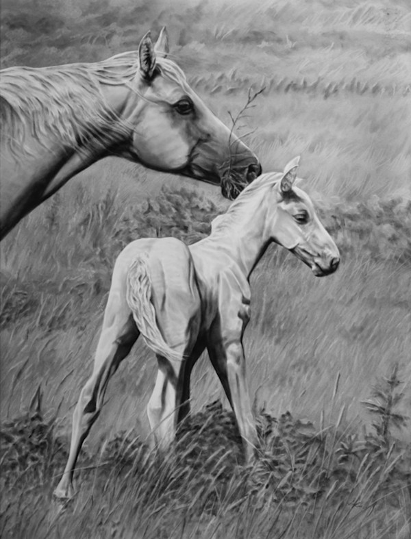 The Filly by Amber Scally