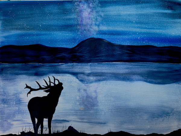 Night Song by Jeanette Perez