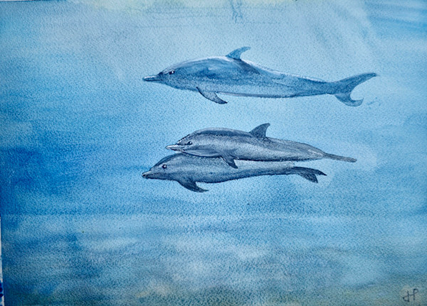 Tribe by Jeanette Perez