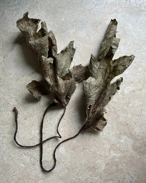 Acanthus Leaves by Ellen Gaube