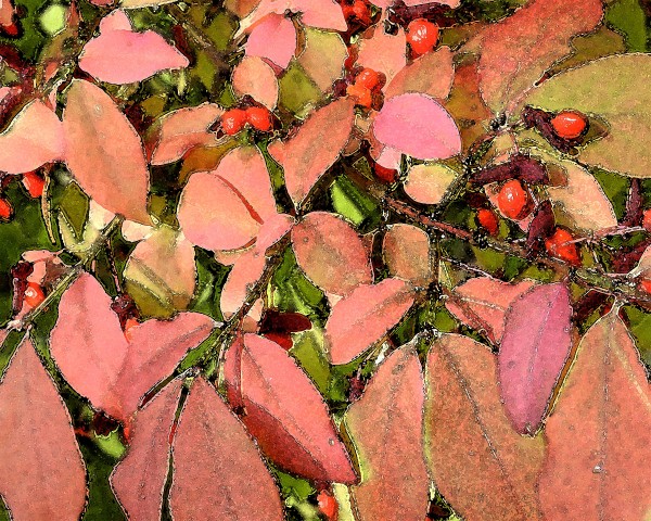 Pink Leaves by Ellen Gaube