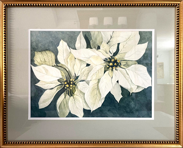 White Poinsettia by Ellen Gaube