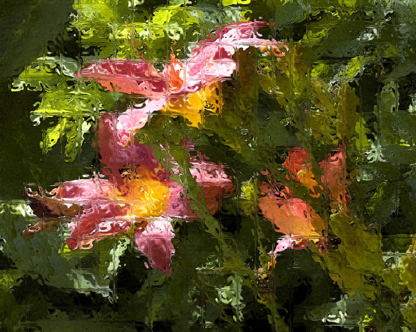 Rose Daylilies 1A by Ellen Gaube