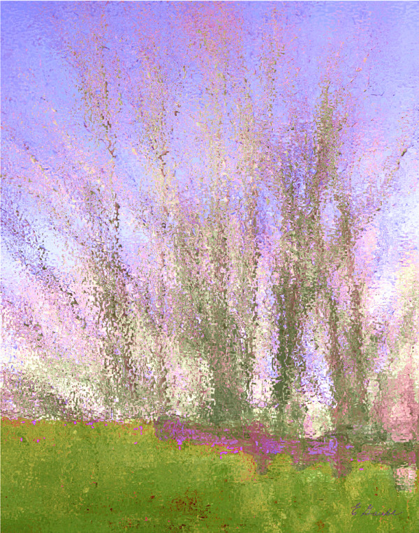 Spring From Margaret's Yard (copy) by Ellen Gaube