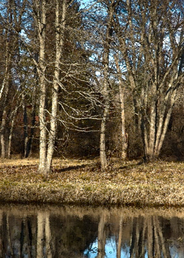 Across the Brook by Ellen Gaube