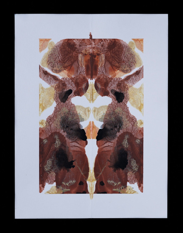 The Red Queen by Alana Walters