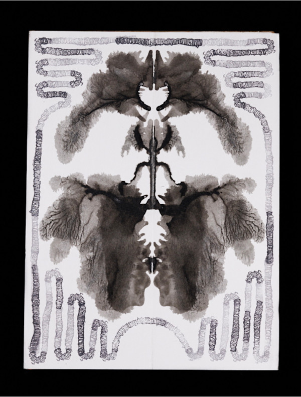 Hidden In The Brush by Alana Walters